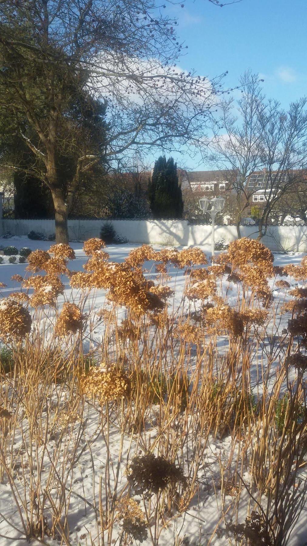 Park Hotel Norymberga Zewnętrze zdjęcie